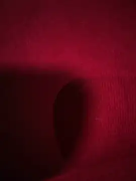 Snapshot of RavenM8 chatting on 02.11.26 RavenM8 online show from 02.11.26