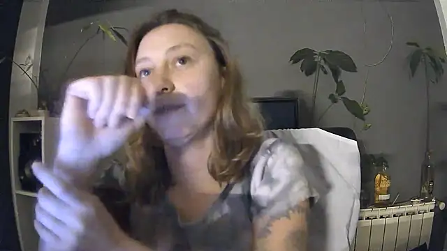 stupid babybird online show from 04.17.26