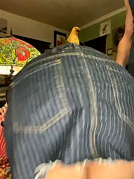 sexyasscougar online show from 11.29.25