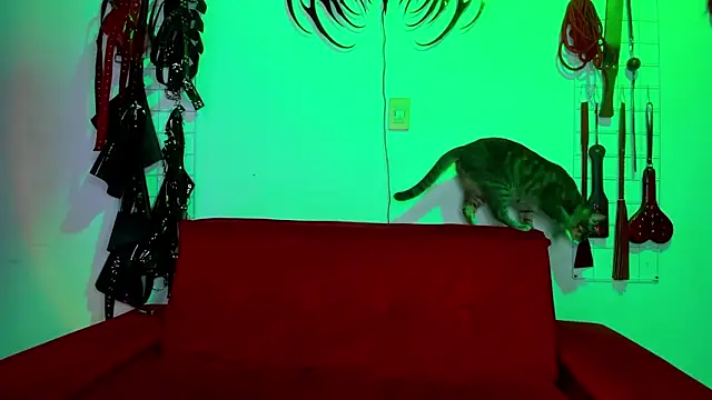 irregular fetish  online show from 02.19.26