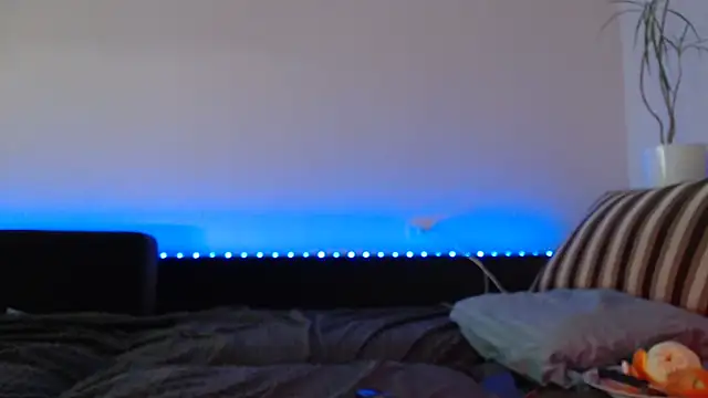 Jinna milli online show from 02.04.25