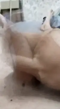 quierodarleche69 online show from 01.20.25