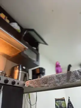 JulianaCastillo online show from 04.02.26