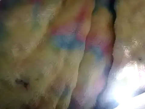 Snapshot of Moreno1813 chatting on 03.15.25 Moreno1813 online show from 03.15.25