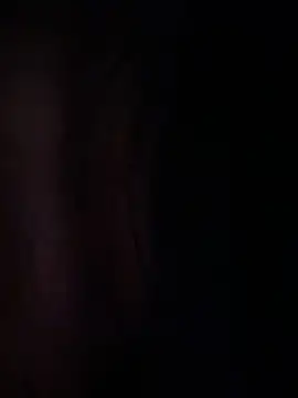 PetitLumiere online show from 12.29.24