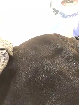 ChantalXOrchid online show from 01.23.25