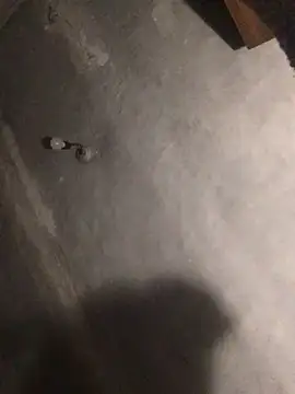 ChantalXOrchid online show from 04.17.26