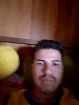 denca28 online show from 03.08.26