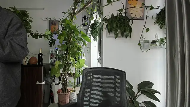 Oliver Nl online show from 01.08.26