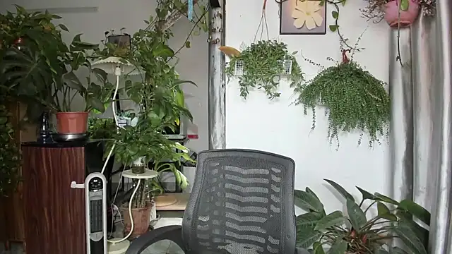 Oliver Nl online show from 04.16.26