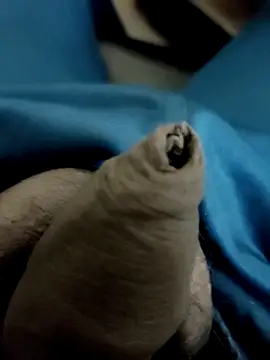 Snapshot of Ashish02345 chatting on 01.28.25 Ashish02345 online show from 01.28.25