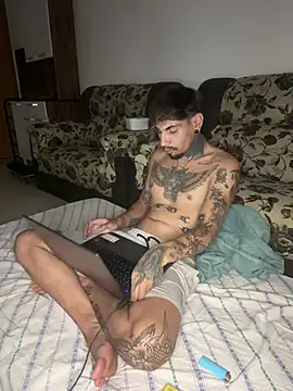 PitbullDiablo1 online show from 02.13.25