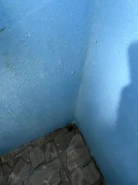 Snapshot of mfloressd14 chatting on 01.08.26 mfloressd14 online show from 01.08.26