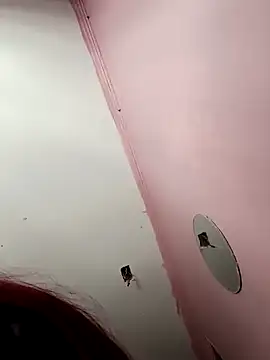 zafka 9 online show from 12.11.24