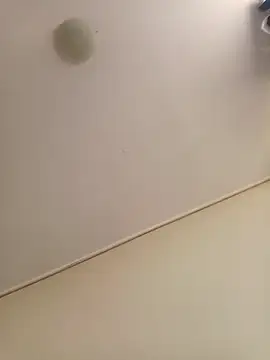 zafka 9 online show from 04.08.26