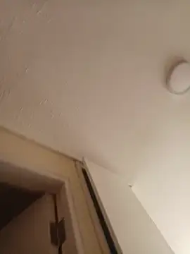 zafka 9 online show from 04.17.26