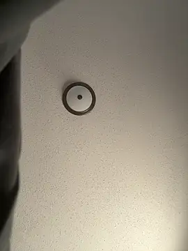 ebonyred online show from 12.21.25