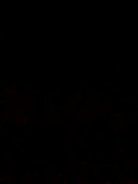 Snapshot of Adee21e chatting on 10.12.25 Adee21e online show from 10.12.25