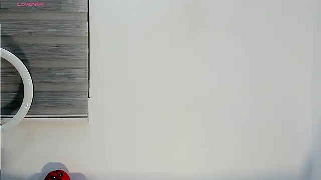 Snapshot of bella_hadid1_ chatting on 11.11.25 bella hadid1 online show from 11.11.25