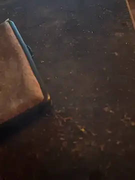 Snapshot of FreshWonder0 chatting on 11.17.25 FreshWonder0 online show from 11.17.25