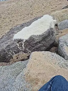 SexyErola27 online show from 12.19.25