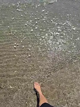 Snapshot of SexyErola27 chatting on 03.24.26 SexyErola27 online show from 03.24.26