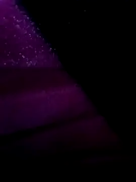 egyptman220 online show from 03.12.26