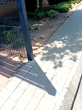 Snapshot of KinkyYours chatting on 10.04.25 KinkyYours online show from 10.04.25