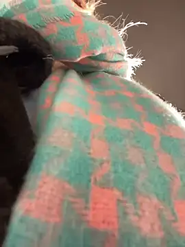 MerlinDave online show from 01.06.25