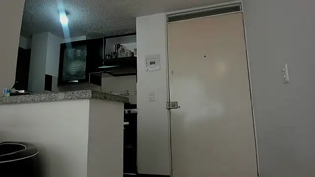 Snapshot of lauramcdowell1 chatting on 11.20.25 lauramcdowell1 online show from 11.20.25