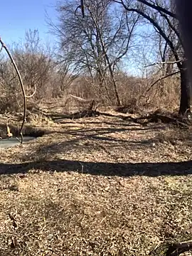 Boysex227 online show from 03.08.25