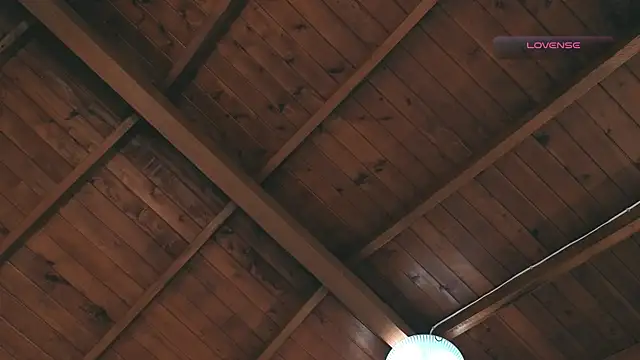 SilvaBranko online show from 03.02.26