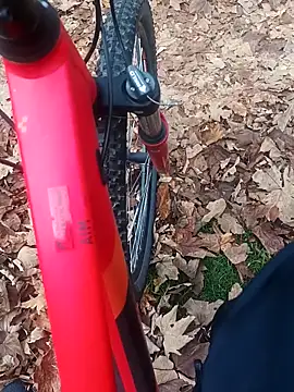 maleesa online show from 11.02.25