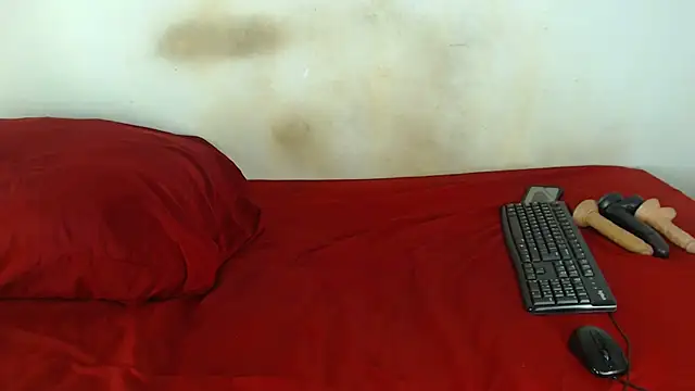 Snapshot of FAT_ASS27 chatting on 04.30.26 FAT ASS27 online show from 04.30.26