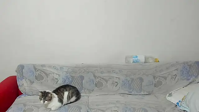 ANGELALEXYNO2024 online show from 02.26.25