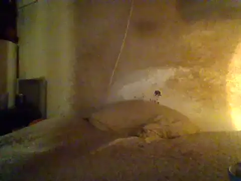 Nightshade7712 online show from 02.19.25