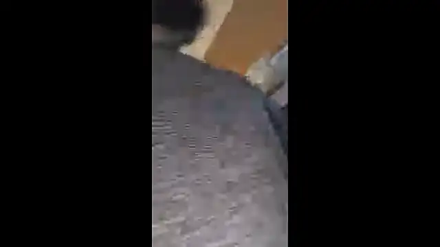 Armyexhibitionistvet online show from 10.20.25