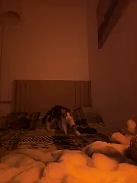 Sashabunny online show from 02.12.26