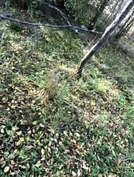 Snapshot of Sirina80 chatting on 10.19.25 Sirina80 online show from 10.19.25