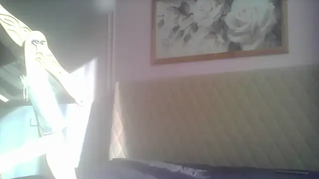 Snapshot of SunElizabeth chatting on 06.12.26 SunElizabeth online show from 06.12.26