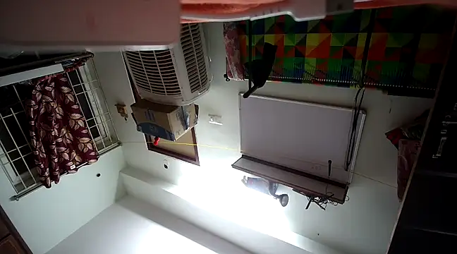 naughtymike0007 online show from 01.19.25