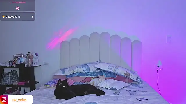 charlotte 002 online show from 03.16.26