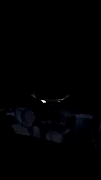 AriellaTaylor online show from 12.14.25