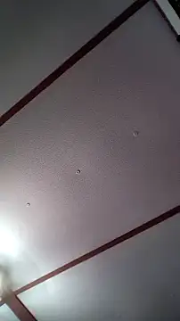 xDestineeXX online show from 12.30.24