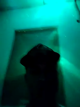 jaycob fox online show from 02.21.26