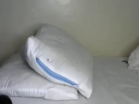 Novah  online show from 04.08.26