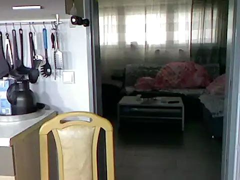 pimmelmann3 online show from 11.15.25