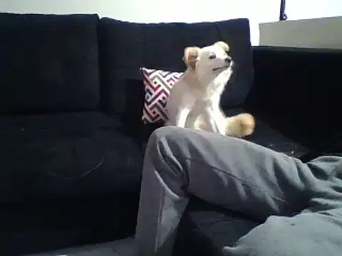 KikiLovesD online show from 12.31.24