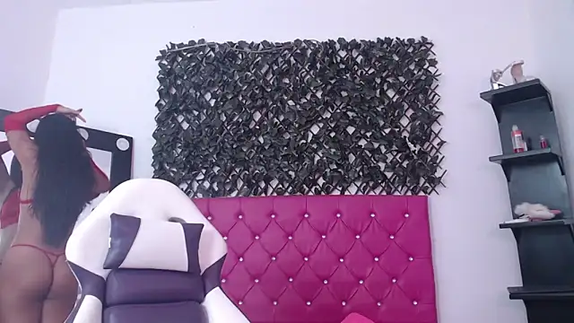 michel cardona online show from 11.11.25