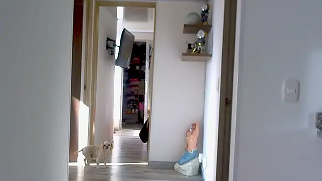 adan eva960 online show from 09.09.25